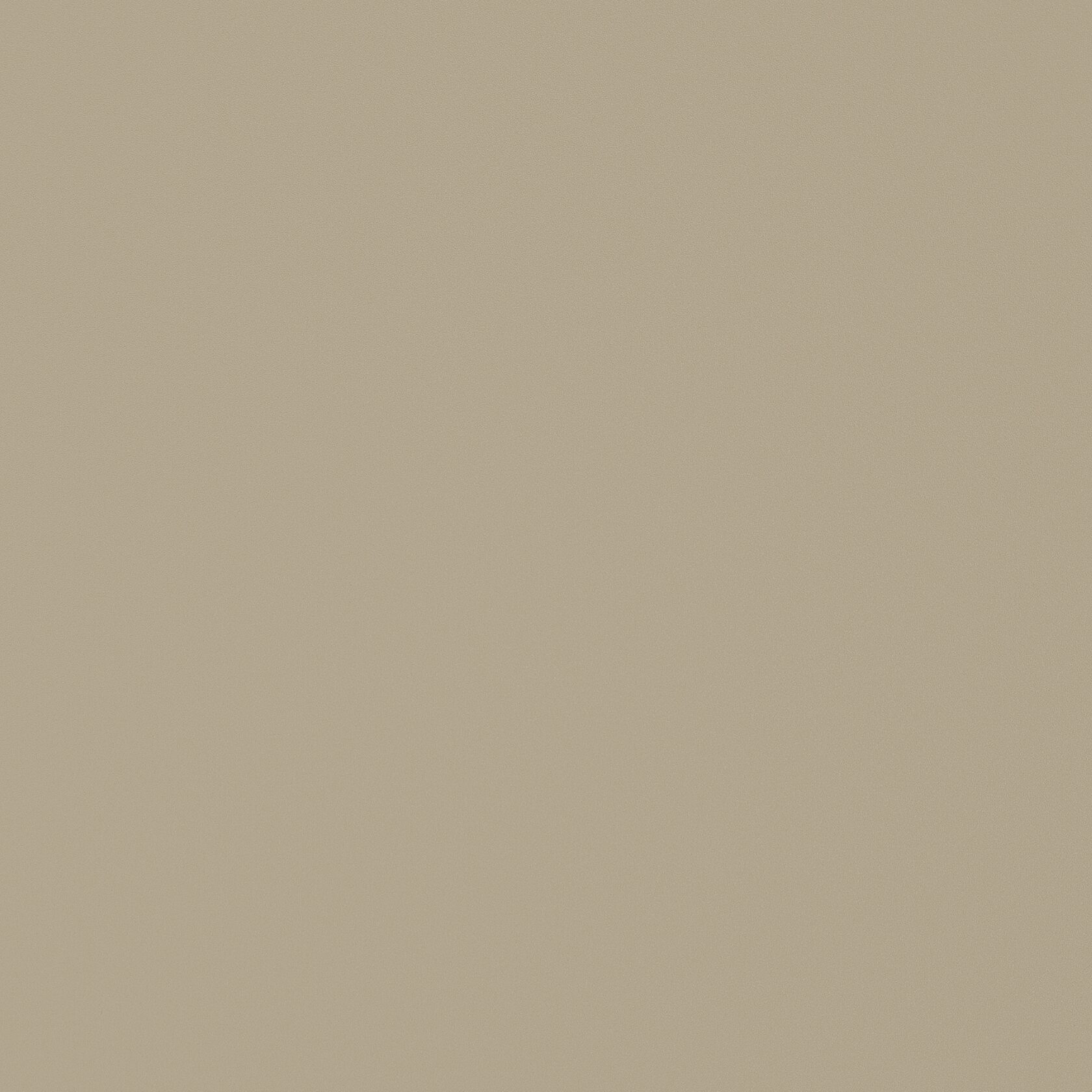 2229 Имбирный К2